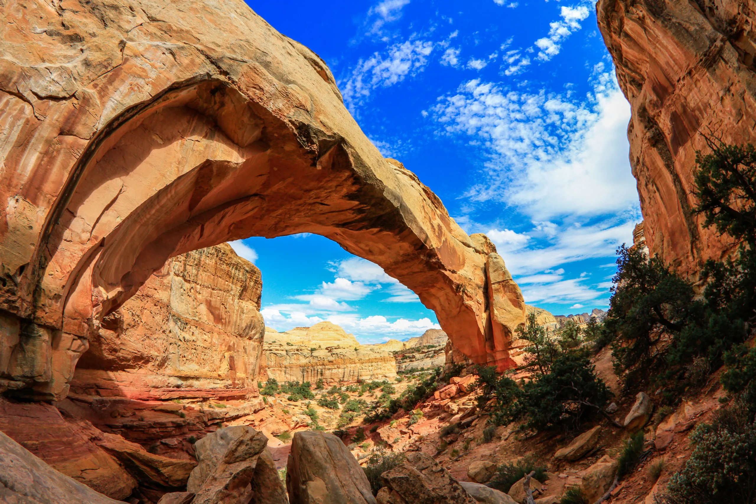 Capitol reef in Utah things to do with kids