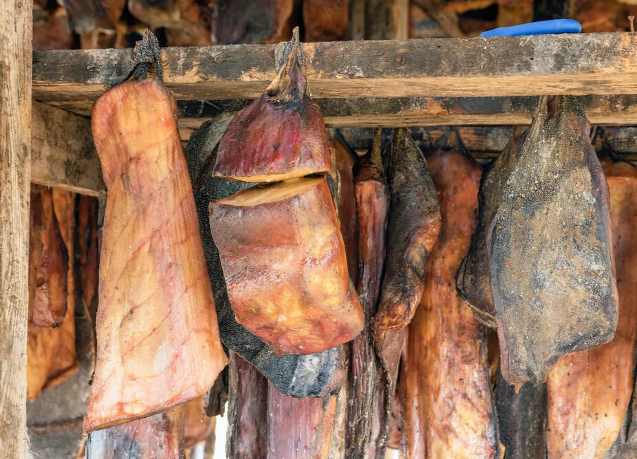 best time to visit Iceland cuisine